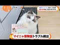 【もふ猫NEWS】マイニャ保険証　猫の世界でもトラブル続出