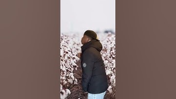Thumbnail of Whipping you back into the cotton fields
