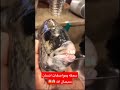 شاهد السمكه الغريبه الذي يوجد فيها اسنان انسان سبحان الله شاهد السمكه الغريبه الذي يوجد فيها اسنان انسان سبحان الله