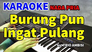 BURUNG PUN INGAT PULANG - Trio Ambisi | KARAOKE HD