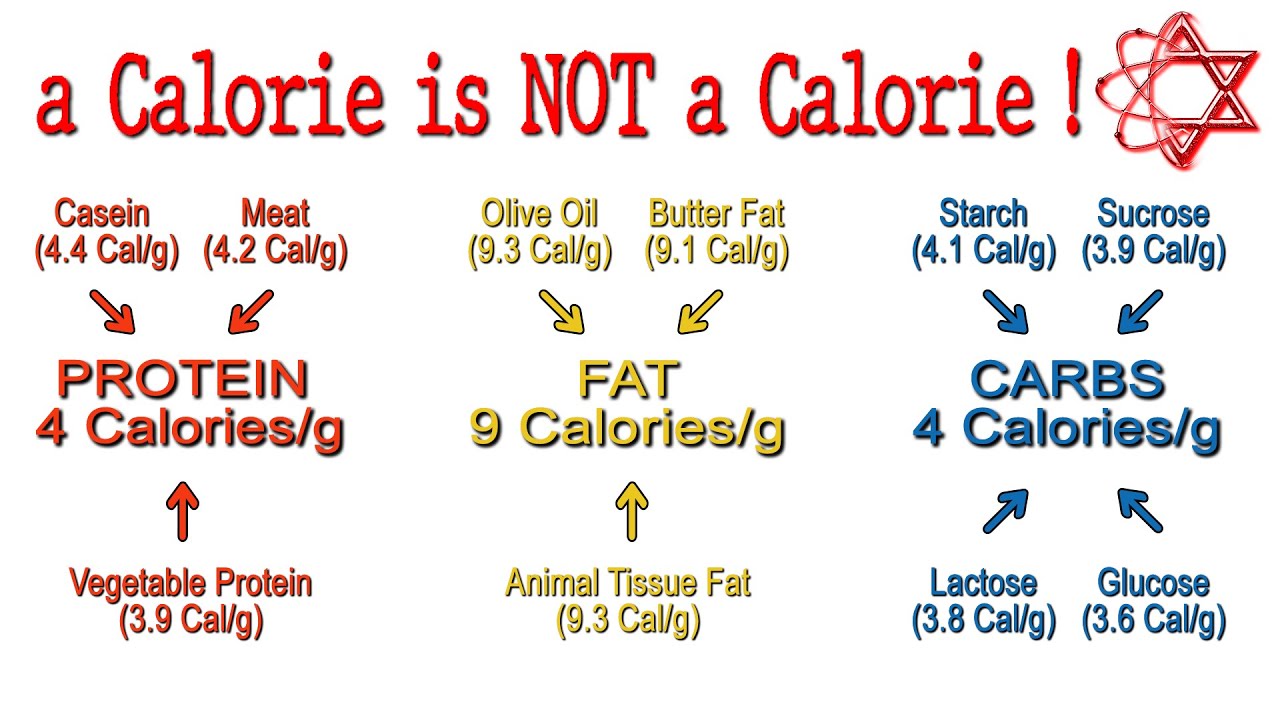 2 The Energy Value Of Protein Carbs And Fat YouTube 2-the-energy-value-of-protein-carbs-and-fat-youtube