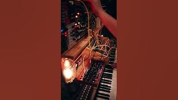 just jammin #DailyPatch #Behringer #Spice #behringerspice