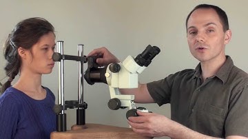 IrisExplorer v2 Intro FR