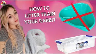 How to litter train your Rabbit