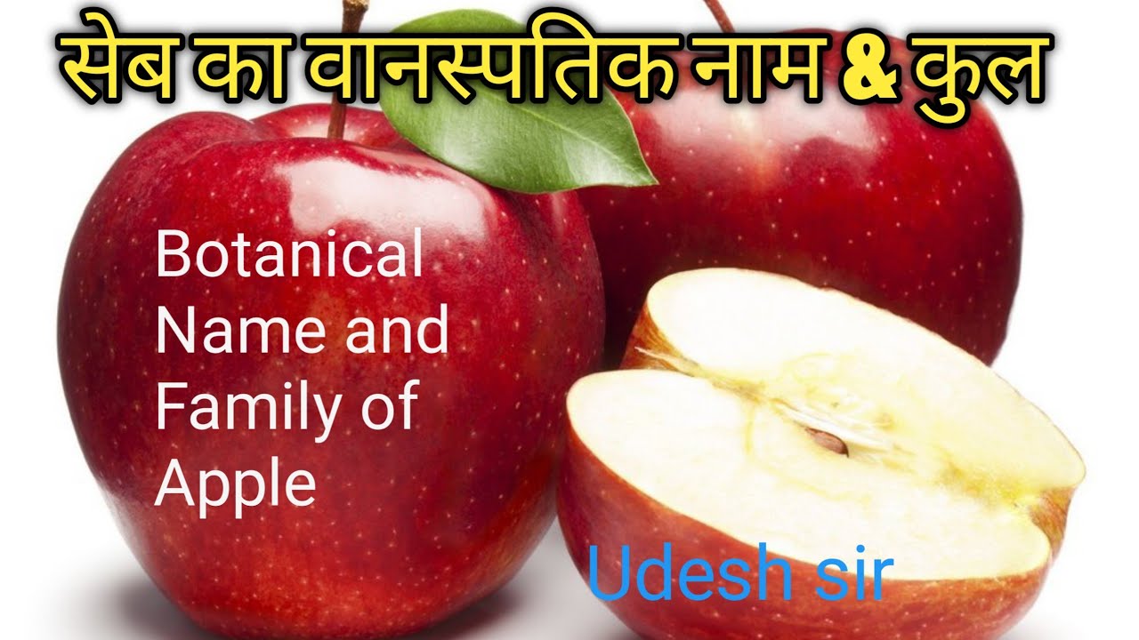 Botanical Name And Family Of Apple botanical-name-and-family-of-apple