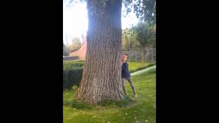 Download Lagu Grappig filmpje MP3