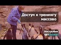 Как дать доступ к тренингу в GetCourse массово