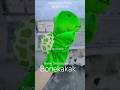 nama toko sho'pee BONEKAKAK #bonekatangan #handpuppets #kurakura  #fyp #binatang #videolucu #fypシ