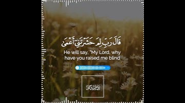تلاوة هادئة تريح الأعصاب 😴🎧 القارئ: أحمد خضر سورة:طه   💙❤
