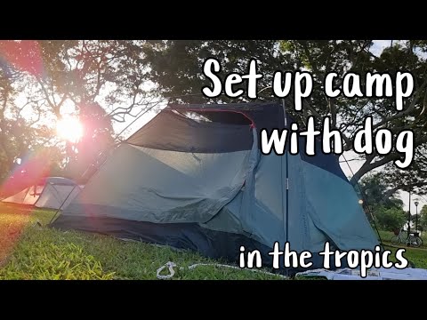 Setting up camp in Singapore at East Coast Park with dog | Camping in the tropics