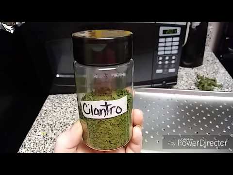 How to dry fresh herbs in the oven