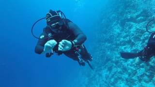 Seabike+Diving