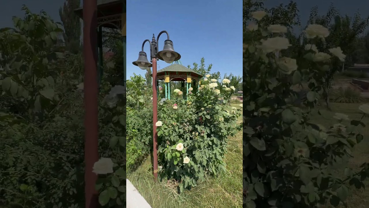 Zharkent central mosque garden 