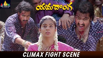 Yamadonga Movie Climax Fight Scene | Yamadonga | NTR, Ali | Telugu Movie Scenes  @SriBalajiMovies