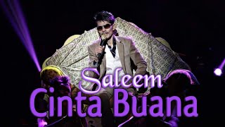 SALEEM - Cinta Buana | Video Lirik