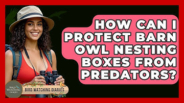 How Can I Protect Barn Owl Nesting Boxes From Predators? - Bird Watching Diaries