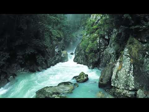 Nasheed Enti Malak Nature 