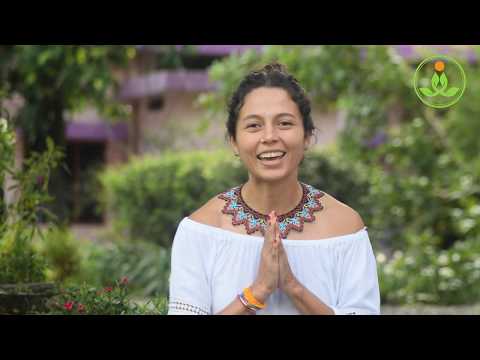 Vídeo: Los Mejores Programas De Formación De Profesores De Yoga En Todo El Mundo