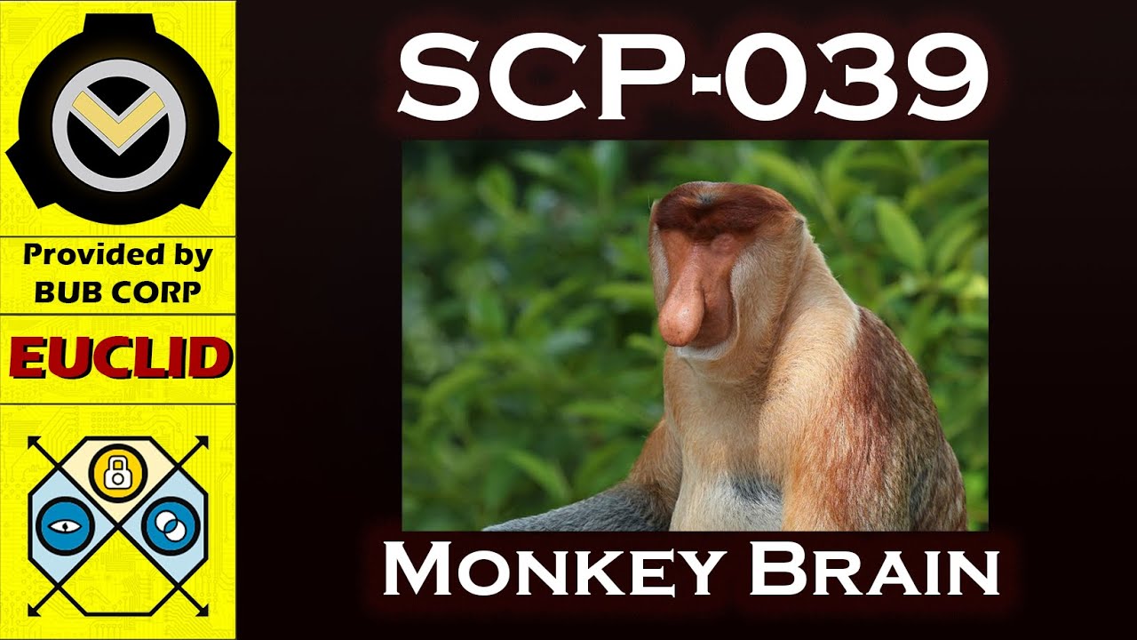 Scp 039