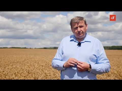 Wideo: Co to jest: krzewienie zbóż?
