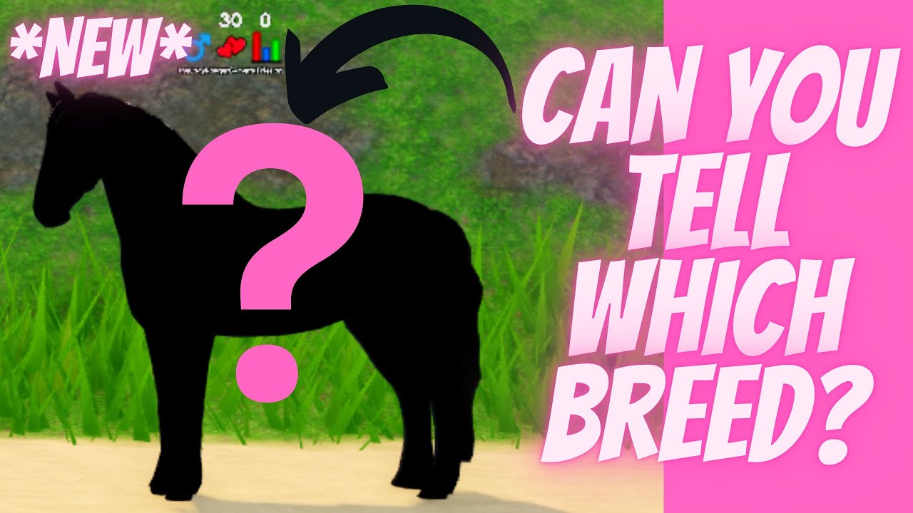 Finally A New WILD Breed Of Horse Wild Horse Islands Ep 20 Roblox Finally A New WILD Breed Of Horse Wild Horse Islands Ep 20 Roblox