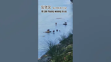 임영웅 우리에게 안녕 구독과 좋아요는 사랑입니다 미오지TV 