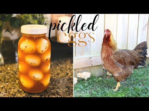 How to Make Pickled Eggs!