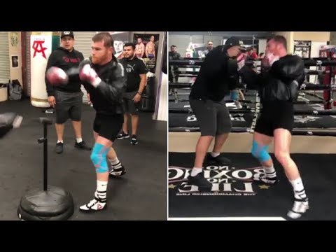 Canelo cobra bag Clearance