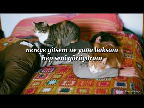 Barış Manço - Domates Biber Patlıcan (Lyrics)