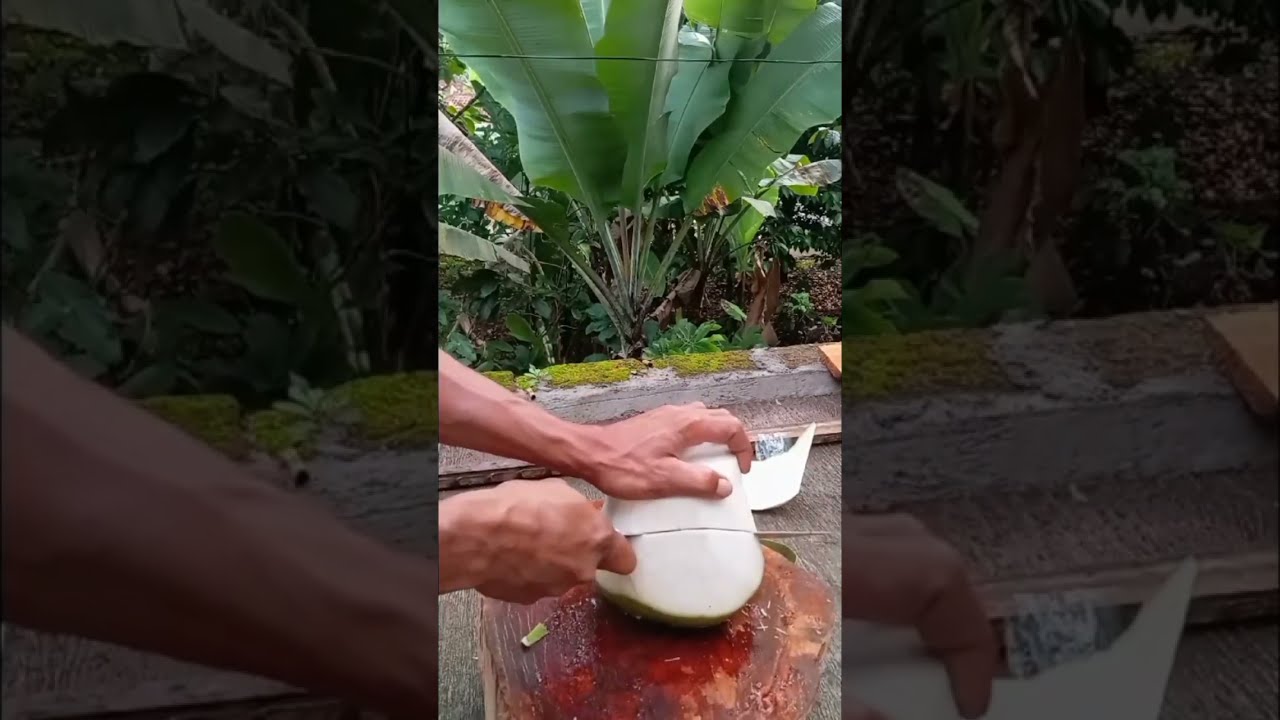 Peeling A Young Coconut Is Truly Extraordinary Amazing Asmr
