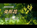 『女郎花』西川ひとみ カラオケ 2023年5月24日発売