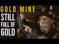 Exploring A Gold Mine From 1875 + Panning For Real Gold In Georgia | Consolidated Gold Mine