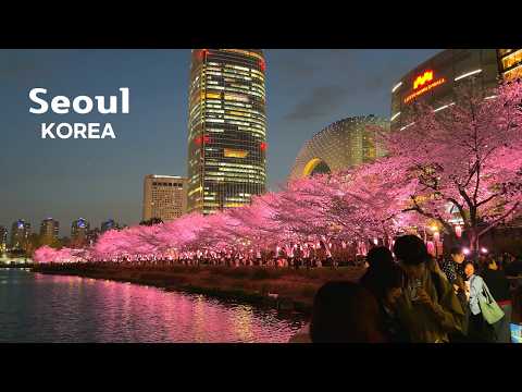 [4K]🇰🇷 Cherry Blossoms in Seoul, Korea🌺 | Seokchon Lake Day & Night (2026)