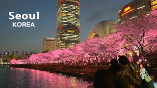 [4K]🇰🇷 Cherry Blossoms in Seoul, Korea🌺 | Seokchon Lake Day & Night (2026)