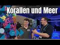 ReefMania 2024 | Am Stand von KorallenUndMeer | 100% Nachzuchtkorallen | + Shop Raritäten |