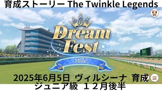 【ウマ娘】ヴィルシーナ 育成 Dream Fest Stella Mile