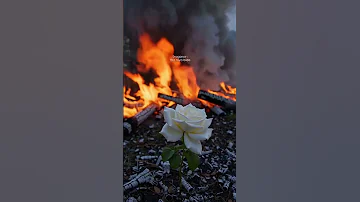 Draganov Hzit Raya Lbayda 