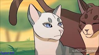 |Коты воители|~\Искра и Коршун\~«Я влюблен в тебя, ты слышишь?» |Коты воители|~\Искра и Коршун\~«Я влюблен в тебя, ты слышишь?»