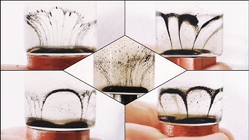 Magnetic fields of circular halbach arrays viewed in 3D - magnetic vortex