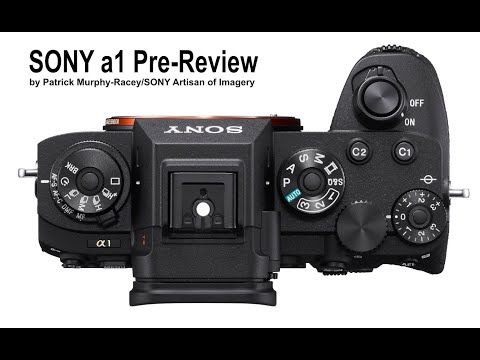 SONY a1 Camera Pre-Review by Patrick Murphy-Racey (Sony Alpha 1) [34:32]