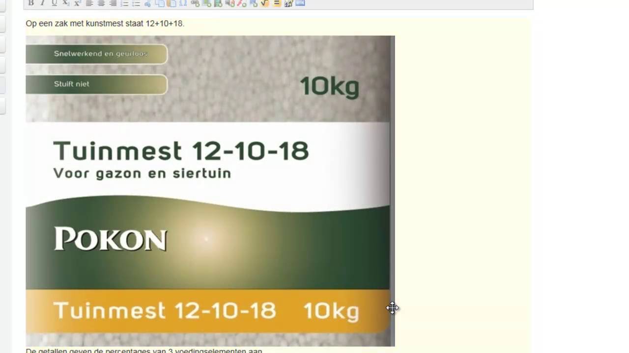 meerkeuze basis  YouTube