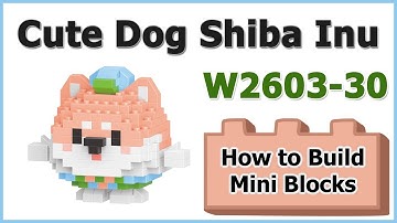 How to Build Mini Blocks Ball Party Shiba Inu W2603-30 Review Manual Specifications