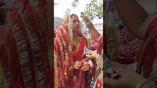 vat savatri vrat #vatsavitripuja2025 #vrath