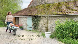 A week in my slow life in the French countryside by French Country Life 109,403 views 1 month ago 28 minutes