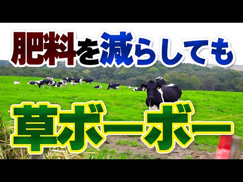 肥料を減らしたのに牧草が伸びている?!【第159回】