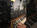Melody for Techovey - OK #melody #synth #behringer #polyd #arpeggio #music
