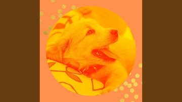 Pulsating Backdrops for Sleepy Dogs