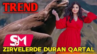 Zirvelerde Duran Qartal / Letife Cesmeli (Tiktok Trendi)