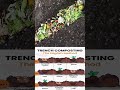 Trench Composting Made Easy 🌱 | The English Method for Super Fertile Soil