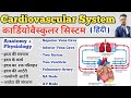 Cardiovascular system in hindi  structure of heart  blood circulation  sa node av node  artery